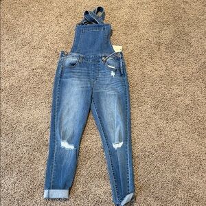 Altar'd State Blue Denim Overalls